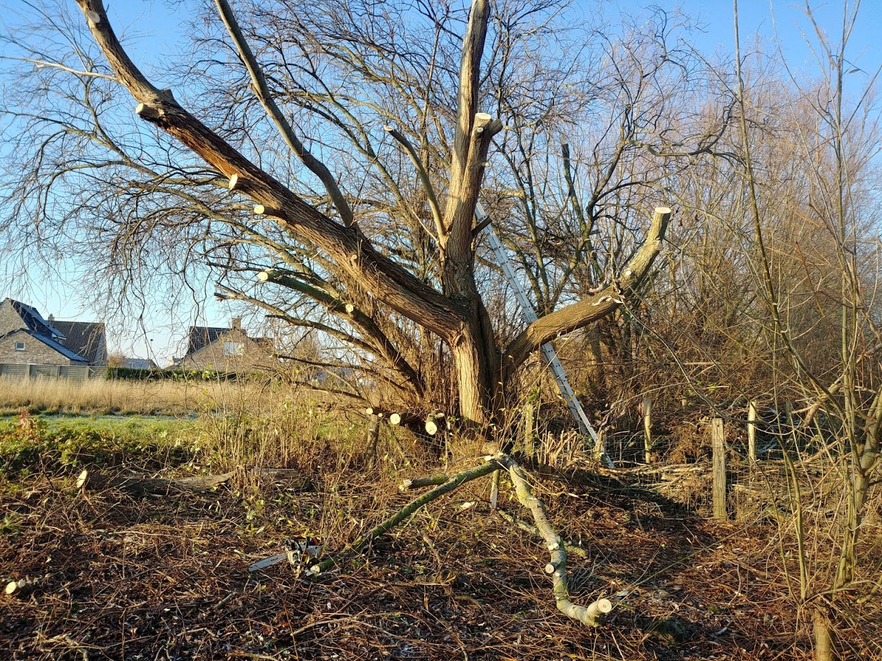 Landschap rond de boerderij