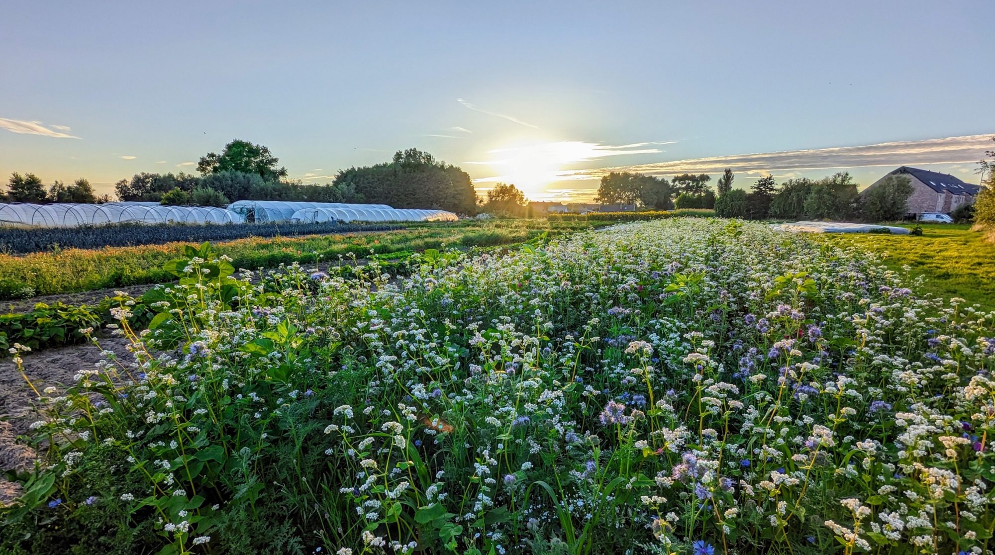 Bioboerderij Monckenhove vanuit de lucht